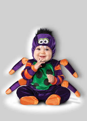 Itsy Bitsy Spider CK16010