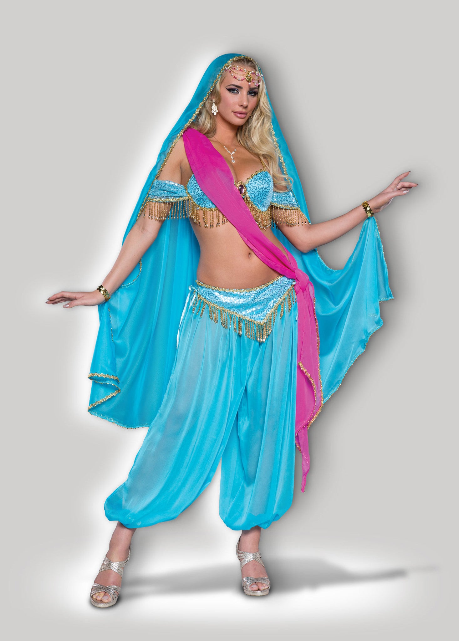 Exotic Jewel of the East Genie Deluxe Women's Costume