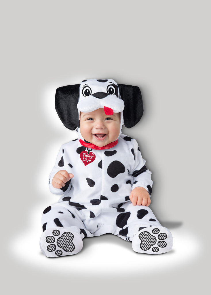 Baby Dalmatian CK16083